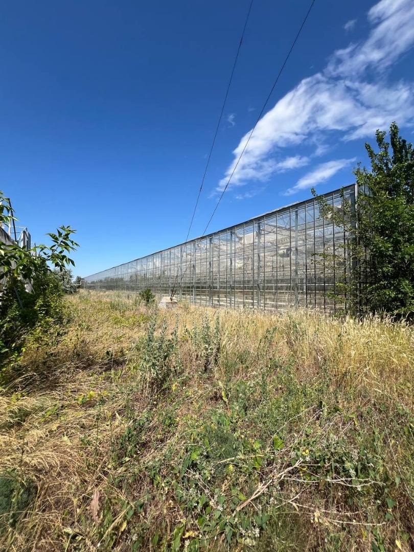 продажа предприятия номер C-174110 в Роксоланах, фото номер 13